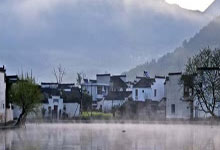 茶香氤氲深圳门，茶叶上门服务尊享品质